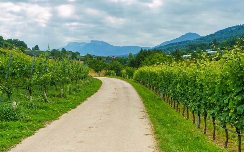 Trentino: La Ruta del vino y de los sabores