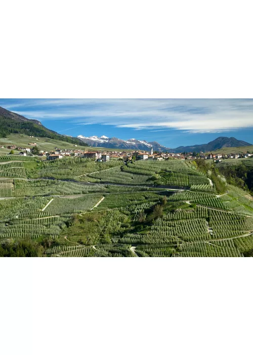 Au milieu des pommes de la Val di Non : un itinéraire à vélo de Cles à Passo Mendola