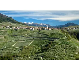 Tra i meleti in Val di Non: un itinerario in bicicletta da Cles a Passo Mendola