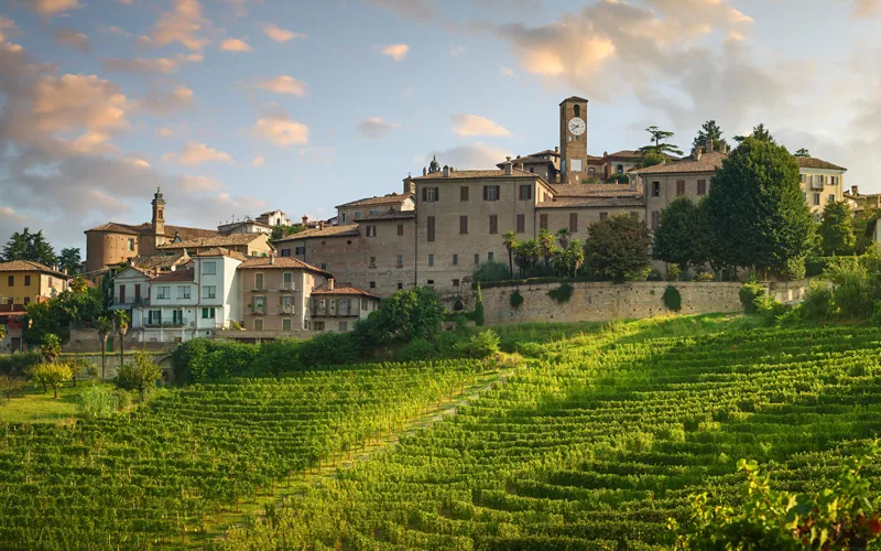 Wine tourism in Piedmont 
