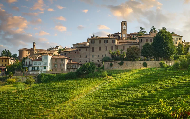 El enoturismo en el Piamonte 