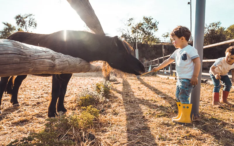 Everyone on the farm, learning about flavours