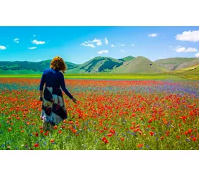 The landscapes of Umbria