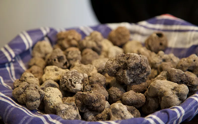 Los "cinco grandes" de la Valnerina: productos del cerdo, lentejas, trufa negra, azafrán y trucha Nera