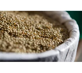 Na Úmbria, a cozinha fala a língua da natureza