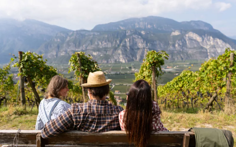 umbria vendemmia