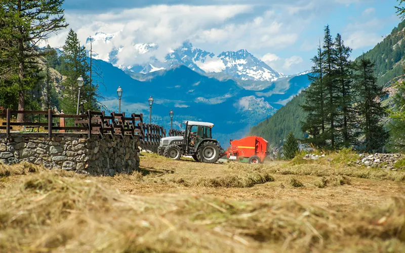 A direct channel with farmers and producers