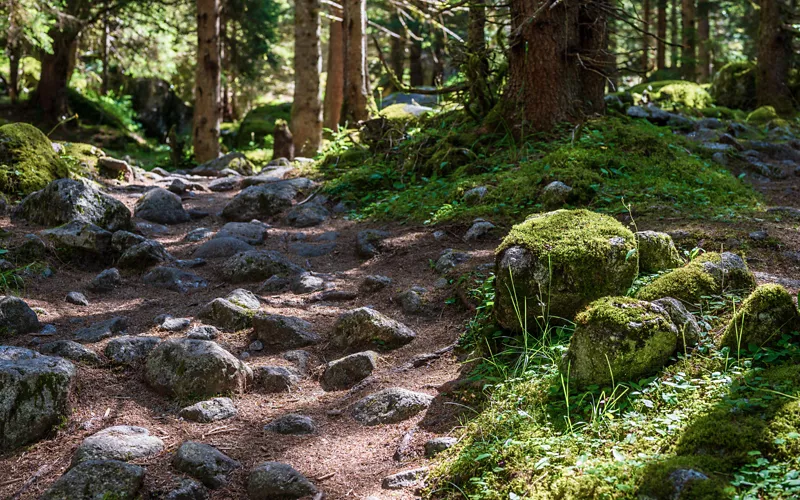 Sentiero nella Val di Mello in Lombardia