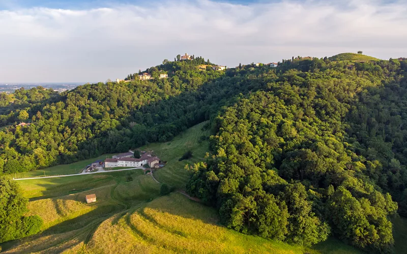 Ein schmackhaftes Spiel: die Jagd nach Kastanien