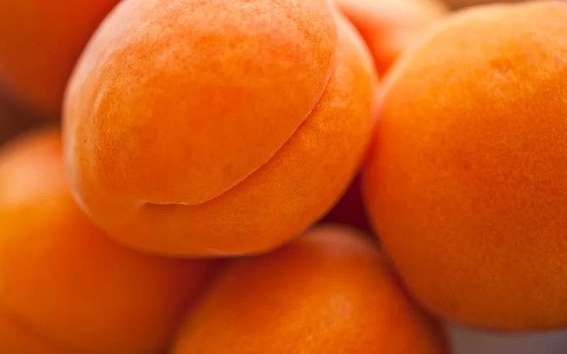 Eine Reifung ohne Eile