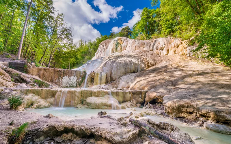 A hot spring in the middle of the woods