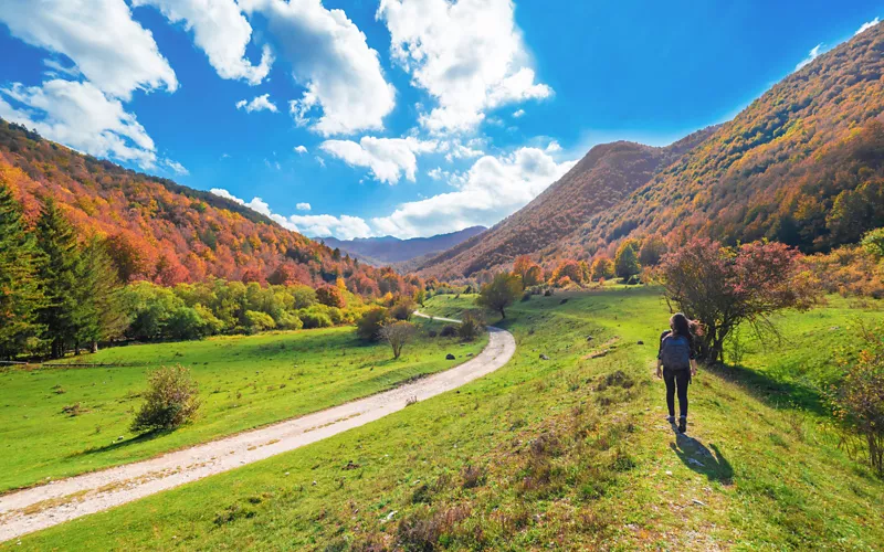 Biens naturels UNESCO dans les Abruzzes : les anciennes hêtraies du parc national