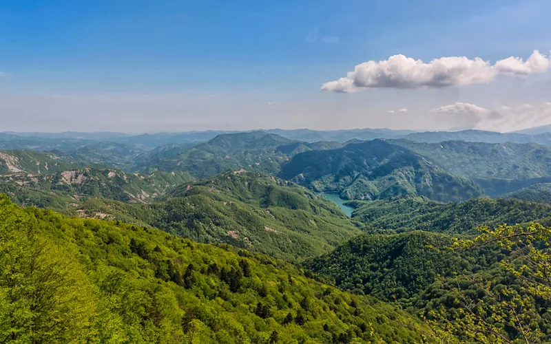 Património natural da UNESCO na Emília-Romanha: a Floresta de Sasso Fratino