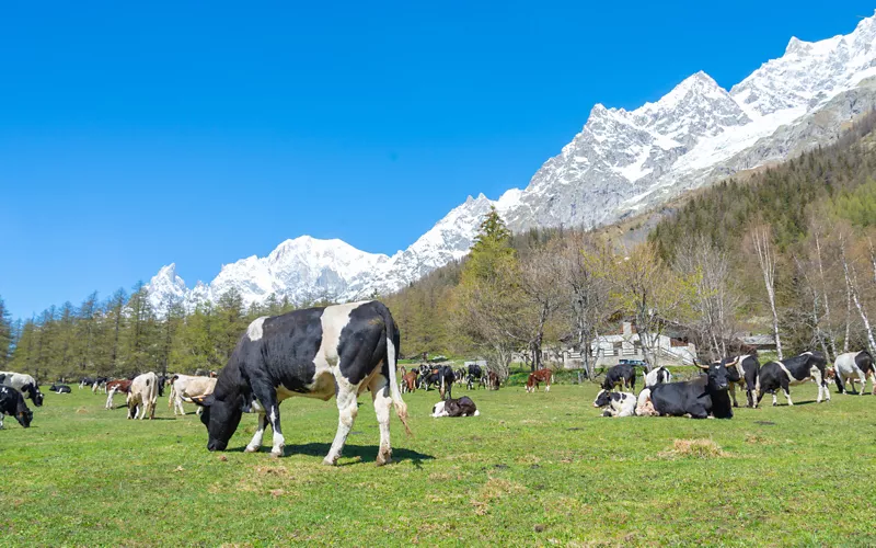 Vacaciones ecológicas en toda Italia