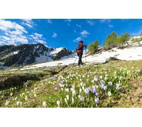 Vacanze in montagna, dove andare per far vivere ai più piccoli esperienze uniche