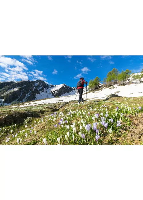 Mountain holidays, places to go for unique experiences for children