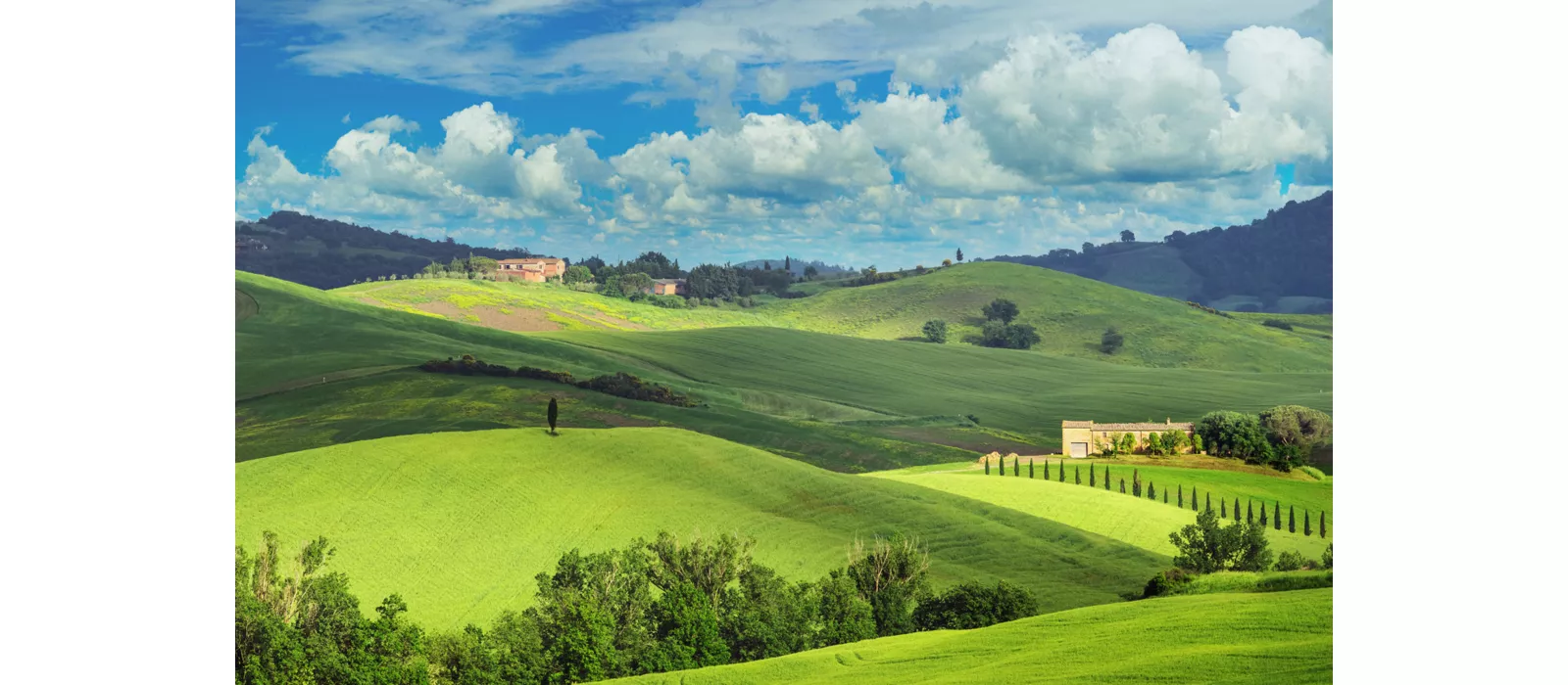 Nei luoghi de “Il paziente inglese” e “Il gladiatore”: la val d’Orcia