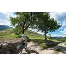 Cycling through the lush greenery of the Pusteria Valley at the foot of the Dolomites