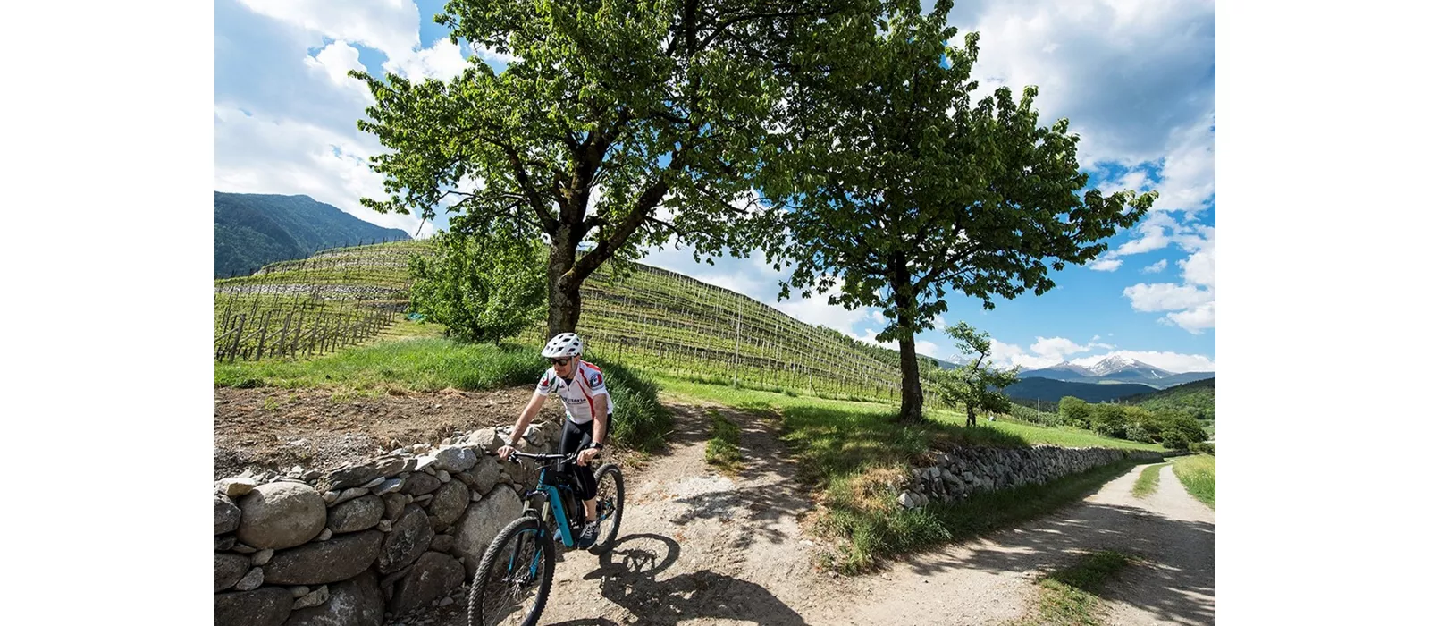 Verdissima Val Pusteria: in bici ai piedi delle Dolomiti 