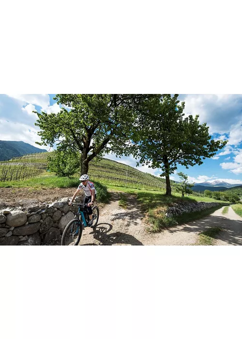 Cycling through the lush greenery of the Pusteria Valley at the foot of the Dolomites