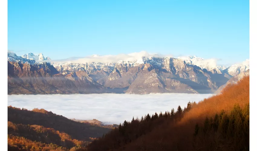 International Mountain Day