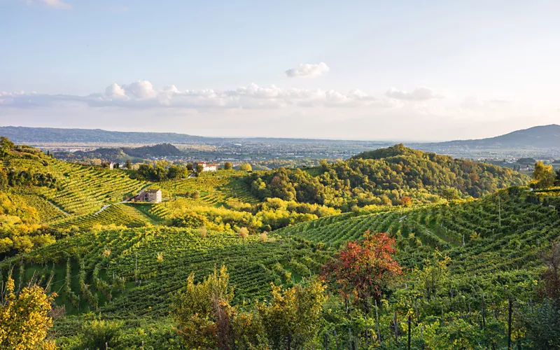 Il periodo ideale per fare l’Anello del Prosecco