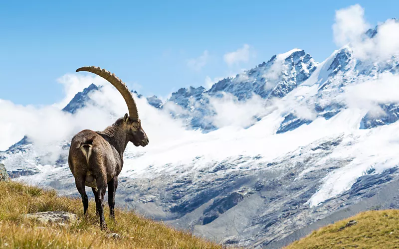 Gran Paradiso, a mountain that lends its name to Italy's oldest National Park