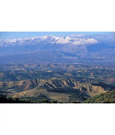 Vom Valle del Crati bis zur Sila Greca