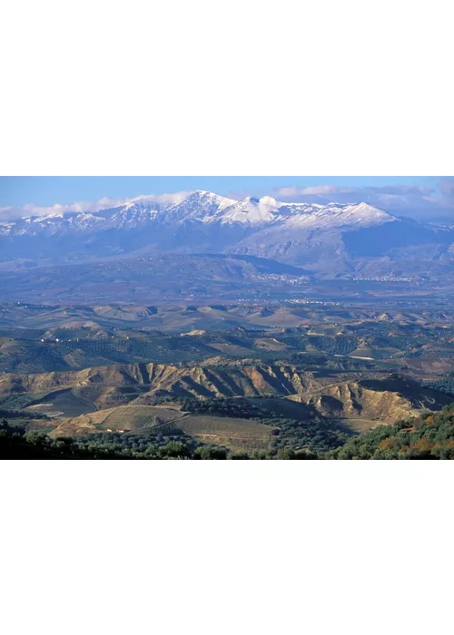 De la vallée du Crati à la Sila Greca