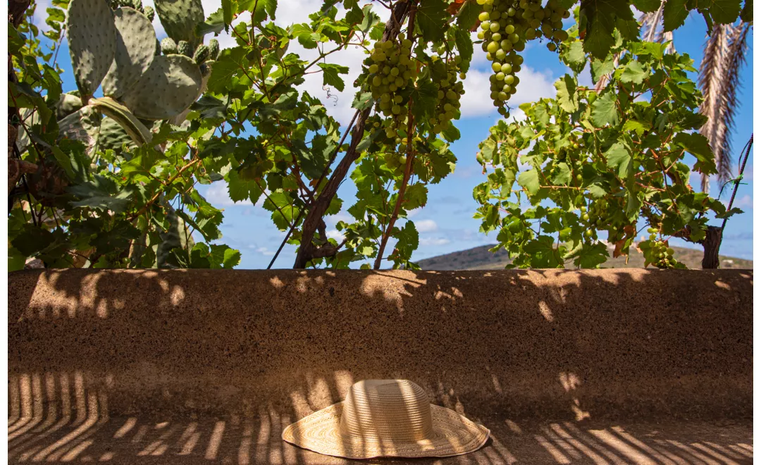 valle di monastero pantelleria