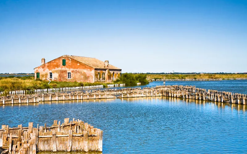 valli comacchio eels 