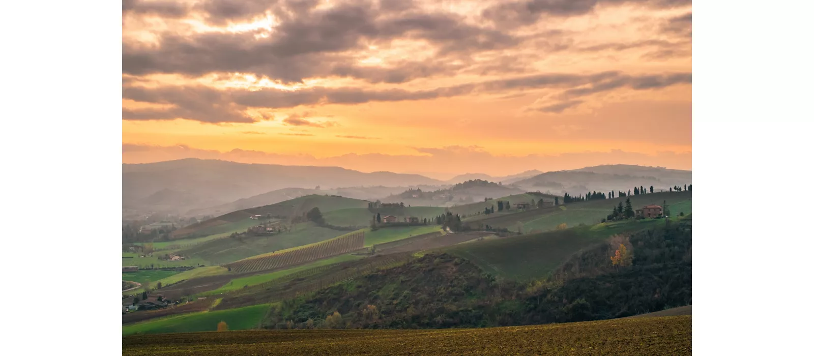 Valsamoggia: gourmet food and sustainability stories on the outskirts of Bologna