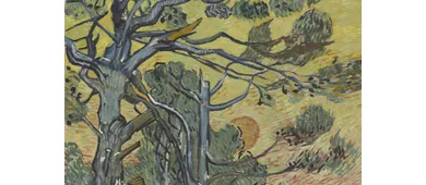 van gogh a roma