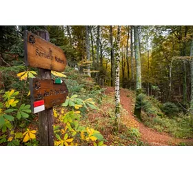 Die „Via di Francesco“: zwischen Umbrien und der Toskana auf den Spuren des Heiligen von Assisi