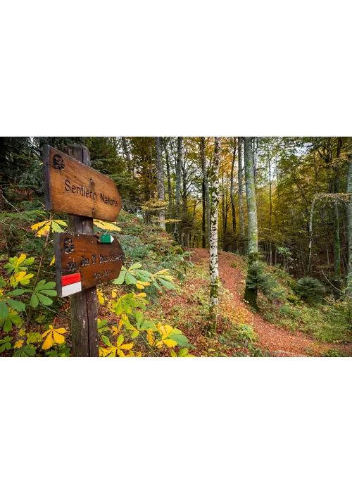 Die „Via di Francesco“: zwischen Umbrien und der Toskana auf den Spuren des Heiligen von Assisi