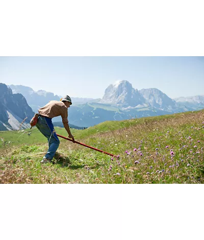 un viaje al diseño del sur del tirol