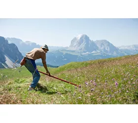 viaggio nel design dell'alto adige