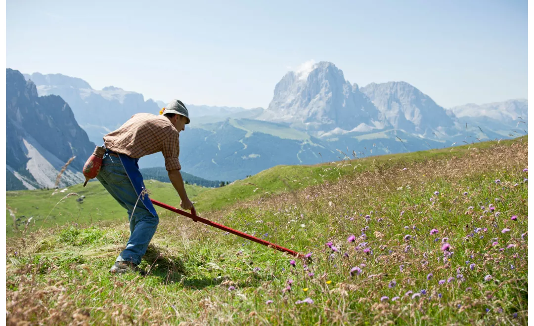 viaggio nel design dell'alto adige