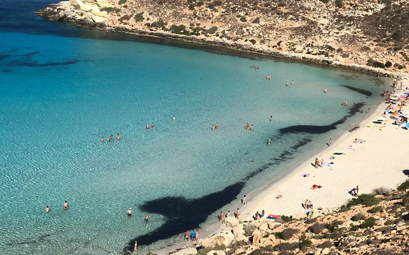 La vida en la playa