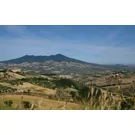 Nas estradas do sabor do Vulture