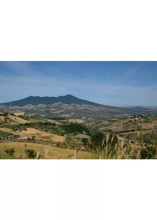 Nas estradas do sabor do Vulture