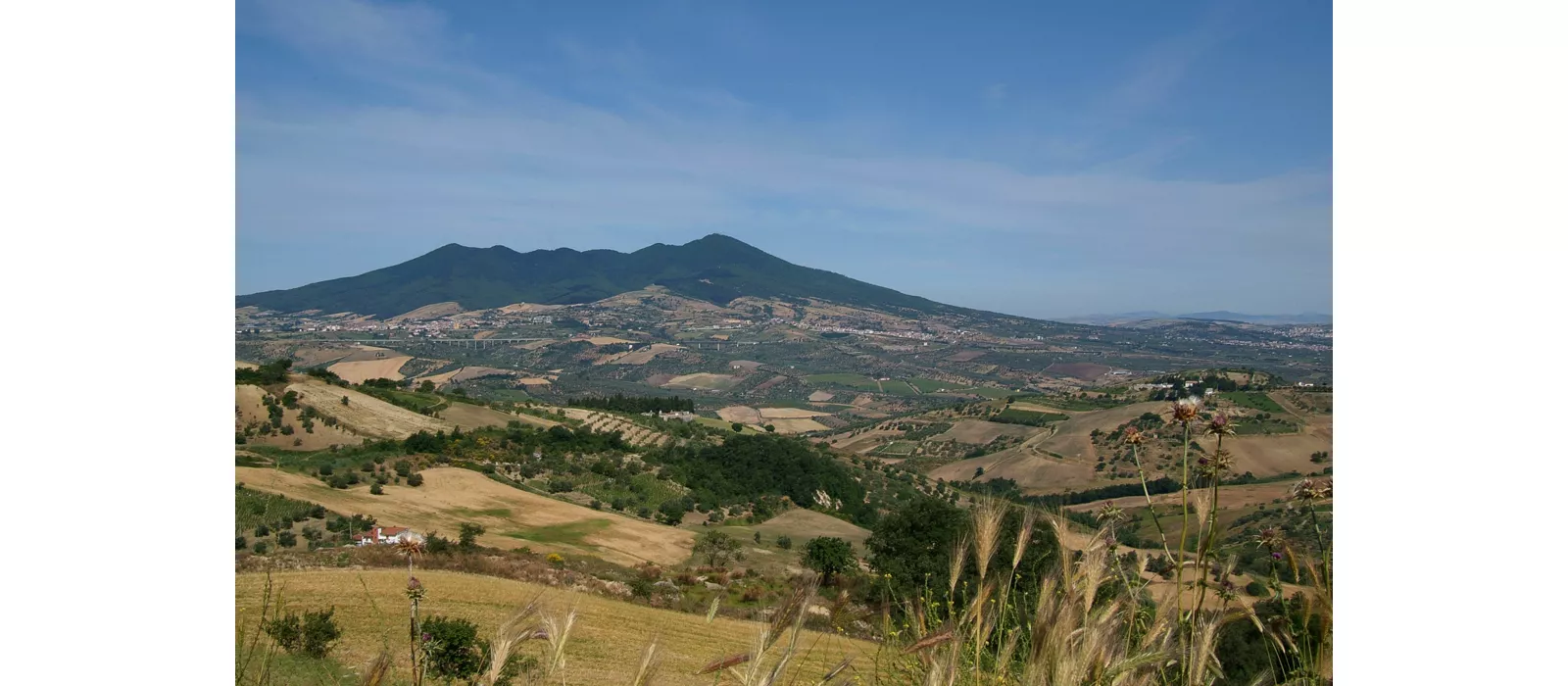 Por los caminos del sabor del Vulture