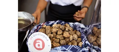 acqualagna_tartufo_bianco_2