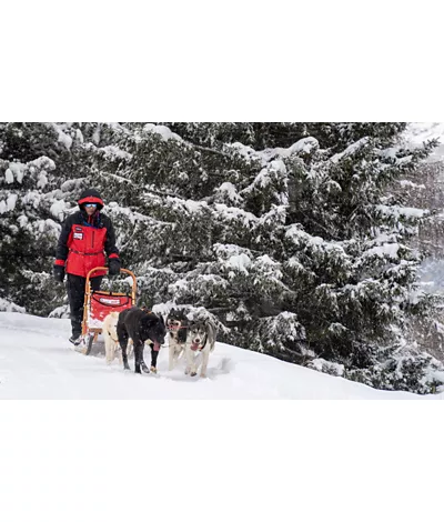 Arnoga: on skis or a husky sled?