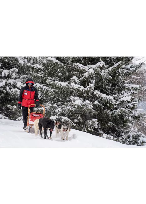 Arnoga: on skis or a husky sled?