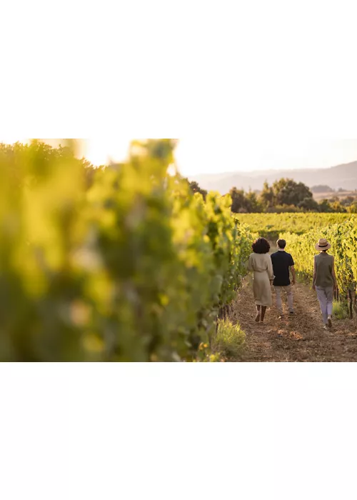 1600x1000_cantine_aperte_2025 - 1