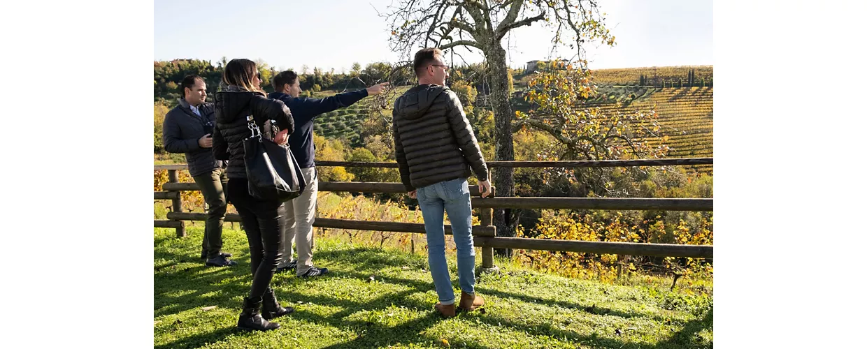 cantine aperte a san martino 2025 In Friuli Venezia Giulia
