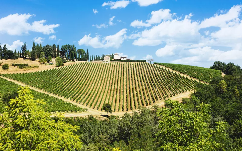 enotour toscana