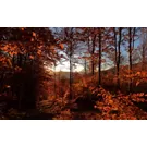 emilia romagna val nure itinerario