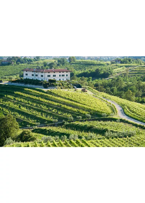 enotour estivo